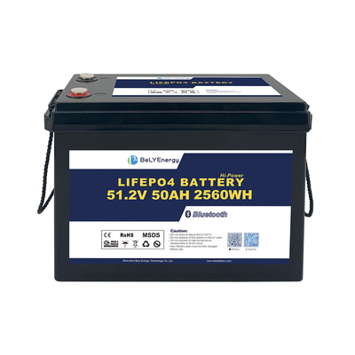Bely Energy sécurisé et fiable 48v 50ah Lifepo4 Pack de batterie pour les véhicules électroniques de consommation