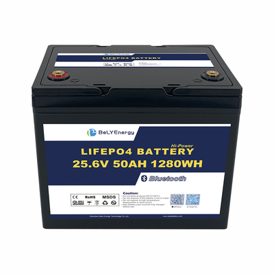 OEM ODM ABS batterie anti-UV pour bateaux de marine 24V 50AH LiFePO4 batterie au lithium avec BT